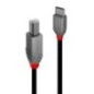 CABLE USB2 C-B 2M/ANTHRA 36942 LINDY