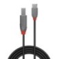 CABLE USB2 C-B 2M/ANTHRA 36942 LINDY