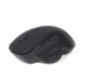 MOUSE USB OPTICAL WRL BLACK/MUSW-6B-02 GEMBIRD