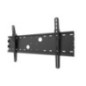 TV SET ACC WALL MOUNT 37-85"/PLASMA-W100BLACK NEOMOUNTS