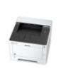 Laser Printer|KYOCERA|ECOSYS P2040dn|USB 2.0|ETH|1102RX3NL0