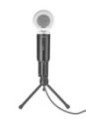 MICROPHONE MADELL DESK/21672 TRUST