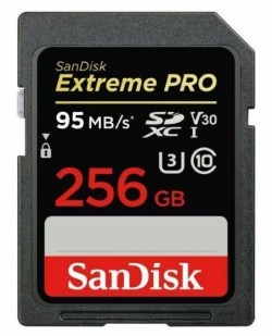 MEMORY SDXC 256GB UHS-1/SDSDXXD-256G-GN4IN SANDISK