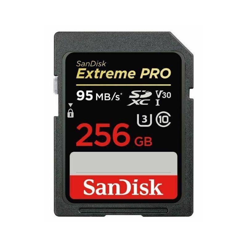 MEMORY SDXC 256GB UHS-1/SDSDXXD-256G-GN4IN SANDISK