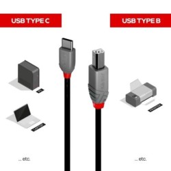 CABLE USB2 C-B 0.5M/ANTHRA 36940 LINDY