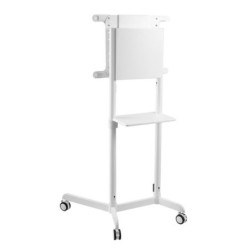 TV SET ACC FLOOR STAND/37-70" NS-M1250WHITE NEOMOUNTS