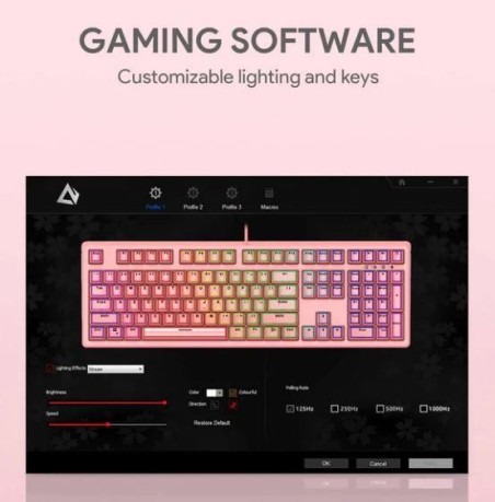 KEYBOARD USB KM-G15 RGB/USAN1010894 AUKEY