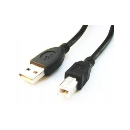 CABLE USB2 AM-BM 1.8M/CCP-USB2-AMBM-6 GEMBIRD