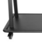 TV SET ACC FLOOR STAND 60-105"/NS-M4000BLACK NEOMOUNTS