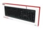 KEYBOARD USB PRIMO/ENG 23880 TRUST