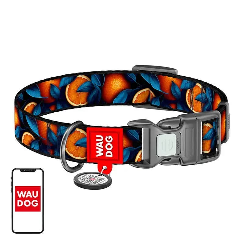 Waudog Oranges nylon dog collar with QR code, M: 28–40 cm