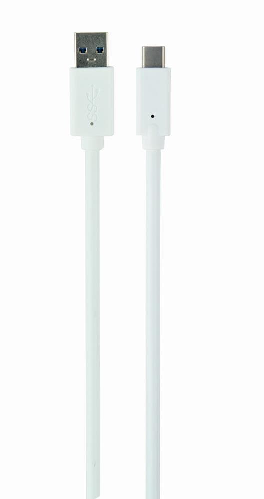 Gembird USB-C to USB3 0.1M White Cable – Fast Data Transfer