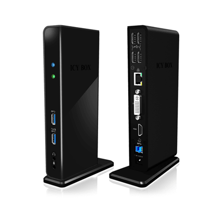 Dokijaam Raidsonic Icy Box IB-DK2241AC, USB-A, 11 liidest