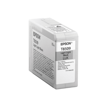 Epson T850900 professionaalne tint, hall, 80 ml