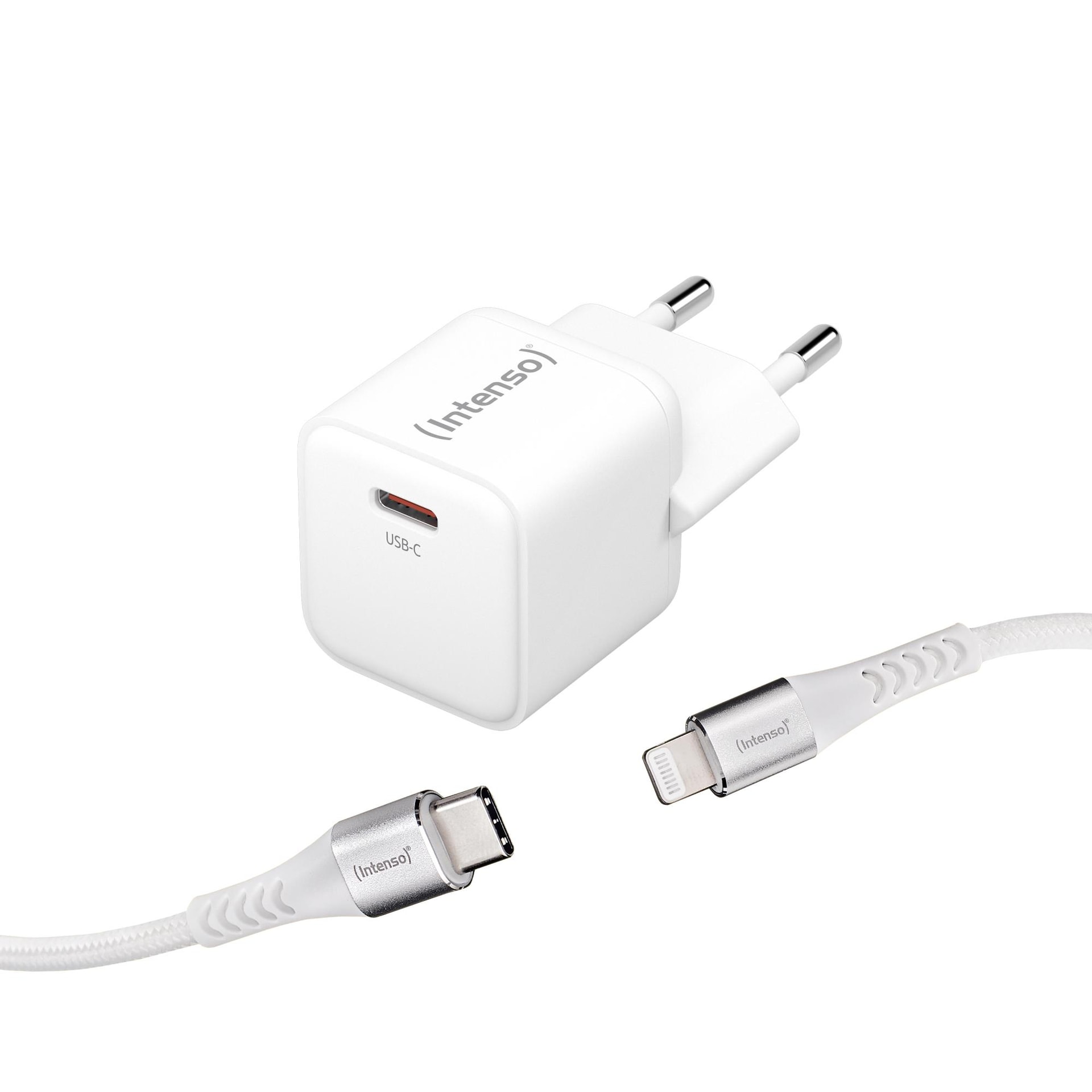 Адаптер INTENSO USB-C GAN 315L белый по низкой цене