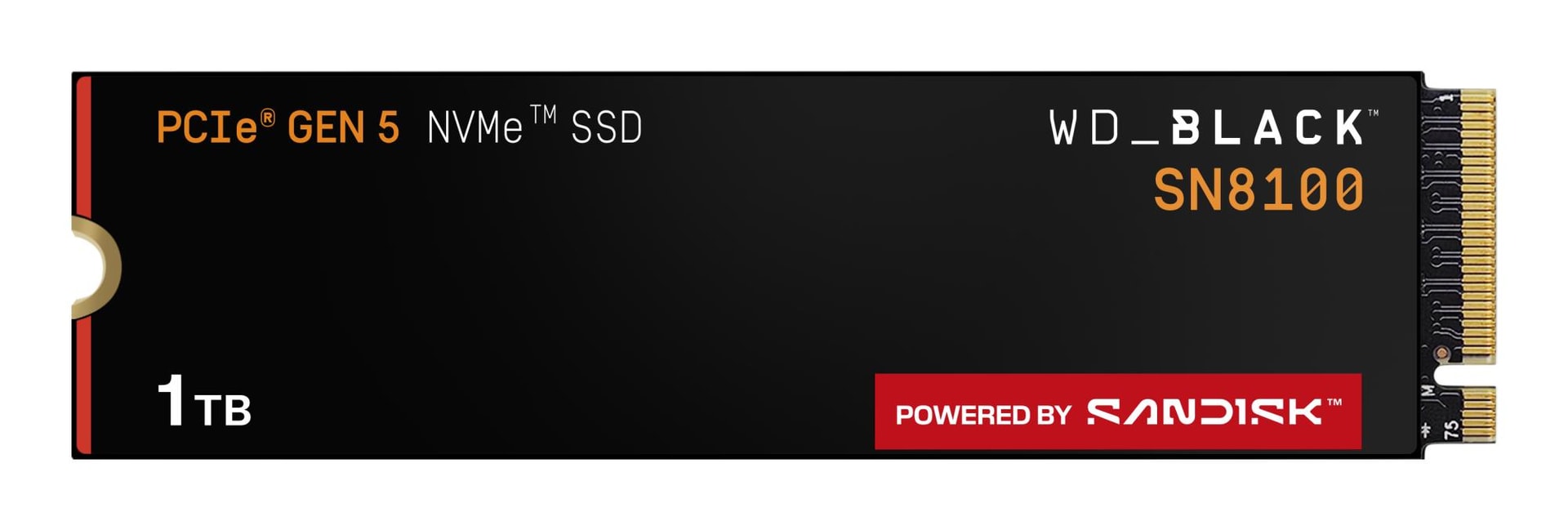 SanDisk Black SN8100 1TB NVMe SSD