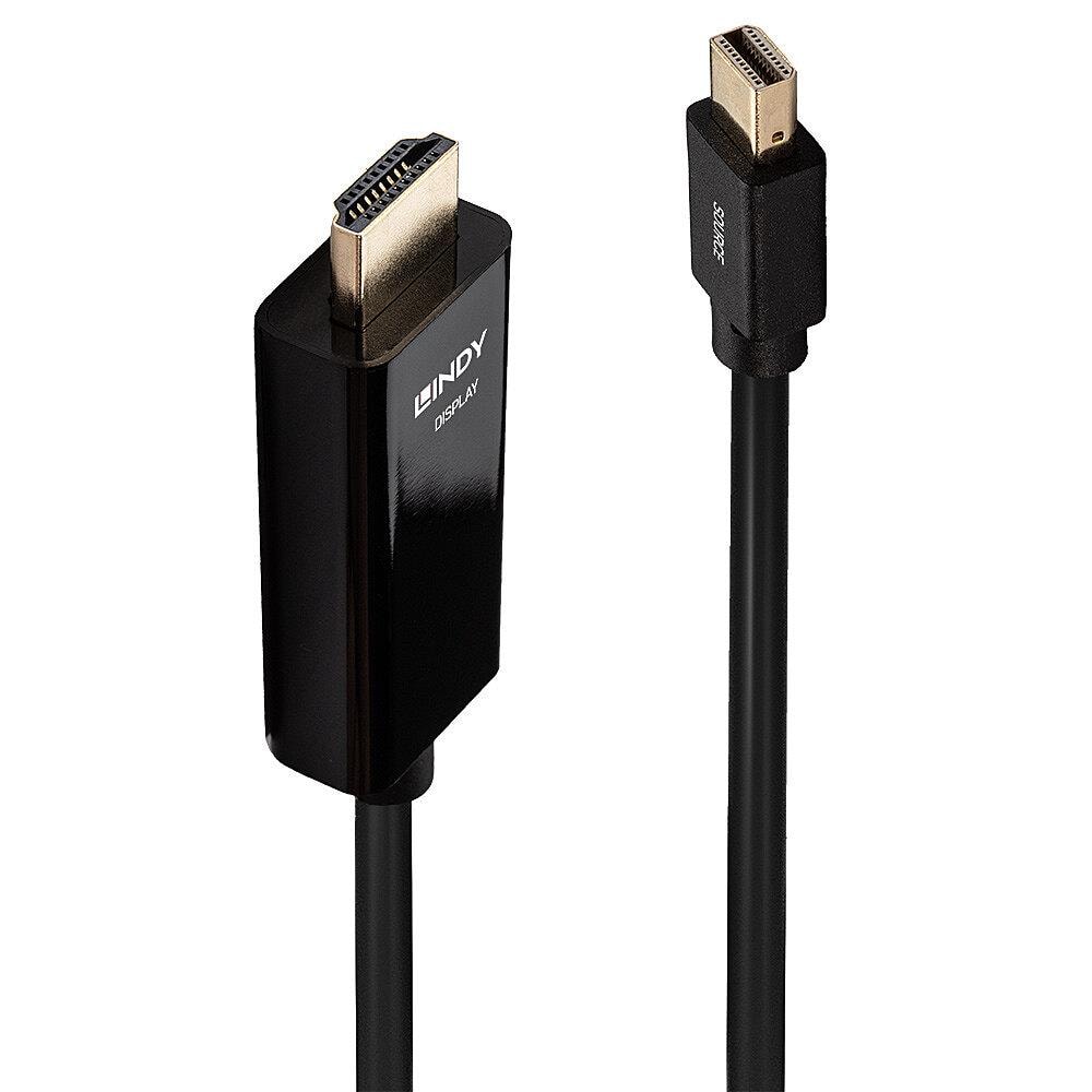 Lindy Mini DisplayPort to HDMI 1m Cable 4K Video – Best Price