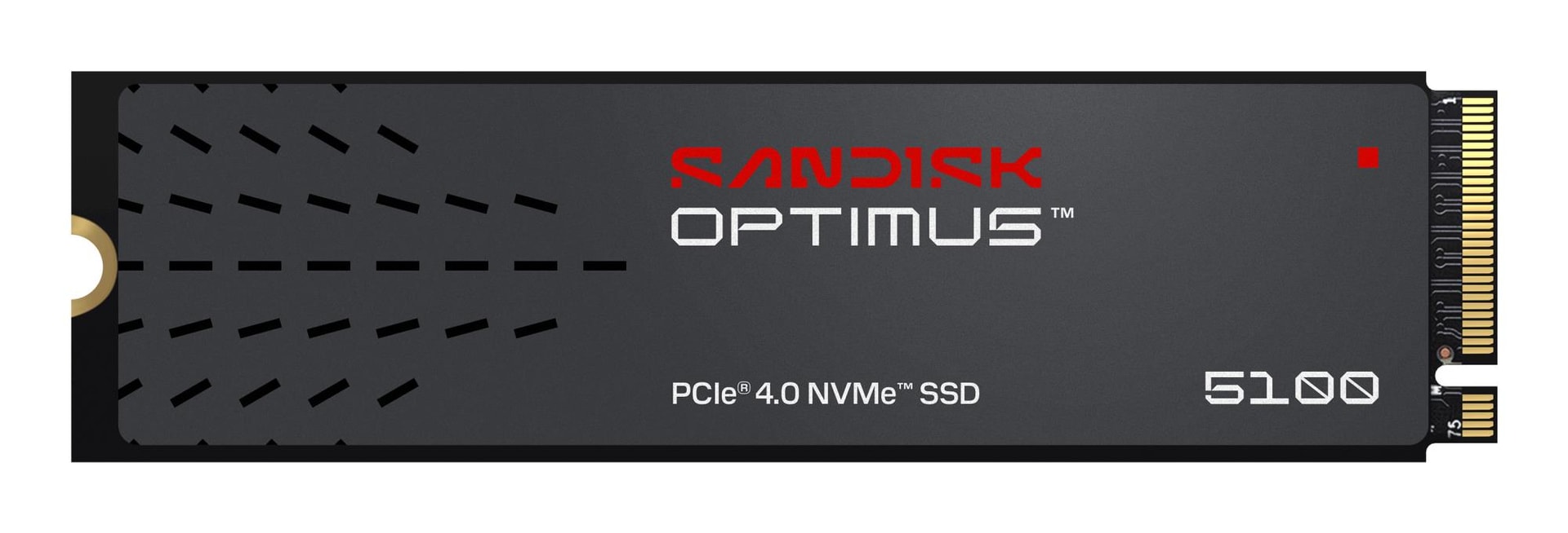 SanDisk 600x 1000GB NVMe SSD PCIe 4.0 – Fast Storage Deal