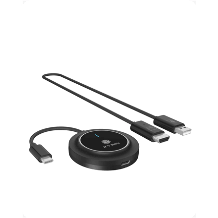 Raidsonic IB-WL101 wireless video system, USB-C to HDMI, Full HD, up to 30 m